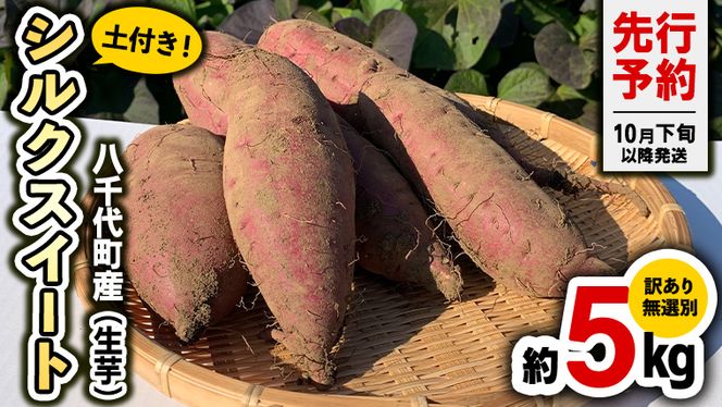 y錧㒬z󂠂 I 㒬Y VNXC[g  yt  5kg ܂ Tc}C   C PA A 㒬 ӂ邳Ɣ[ 5000~ y s\ 2025N10{ȍ~ z [AX047ya]