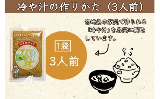 ＜宮崎郷土料理 冷や汁 10個セット＞翌月末迄に順次出荷【a0043_ko】