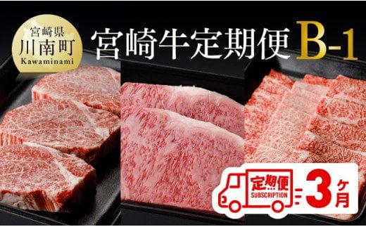 [定期便]宮崎牛3ヶ月定期便B-1[ 国産 九州産 肉 牛 宮崎県産 牛肉 黒毛和牛 ミヤチク 全3回 ][D0674t31]