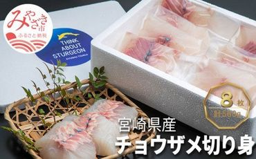 宮崎県産チョウザメの切り身70g×8パックセット_M133-003