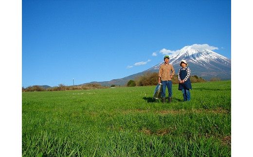 【河口湖チーズ工房】河口湖セット・ストリング（プレーン・ワイン） FAQ005