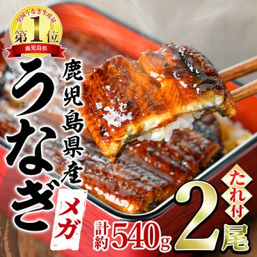 【0194305a】＜メガサイズ＞うなぎ蒲焼き(無頭)(2尾・計約540g・タレ、山椒付)うなぎ 高級 ウナギ 鰻 国産 蒲焼 蒲焼き たれ 鹿児島 ふるさと 人気【アクアおおすみ】