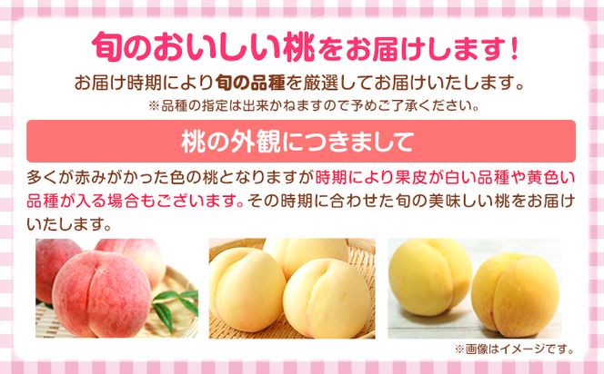 【訳あり】 ご家庭用 和歌山の桃 約2kg (6玉~8玉) m&n果実園 【配送不可地域あり】《6月中旬-7月下旬頃出荷》和歌山県 紀の川市 モモ 桃 もも 旬 白鳳 日川白鳳 なつっこ 果物 フルーツ---wsk_cmnk4_k6_23_12000_2kg---