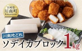 川南地どれ！ ソデイカブロック 1kg 【国産 日向灘 イカ ブロック 小分け 便利 再冷凍可 送料無料】[E1710]