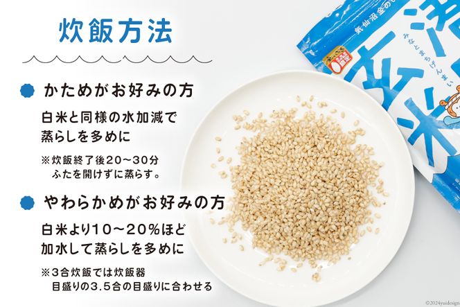 米 港町玄米 1.8kg 450g×4袋 [サンフレッシュ小泉農園 宮城県 米 港町玄米 1.8kg 450g×4袋 [サンフレッシュ小泉農園 宮城県
