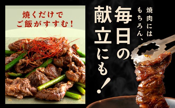 099H3564 焼き肉専門店 自家製タレ漬け ハラミ 合計500g（250g×2）