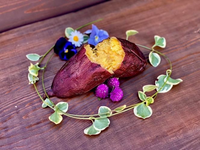 ワンちゃん干し芋ジャーキーBigサイズ