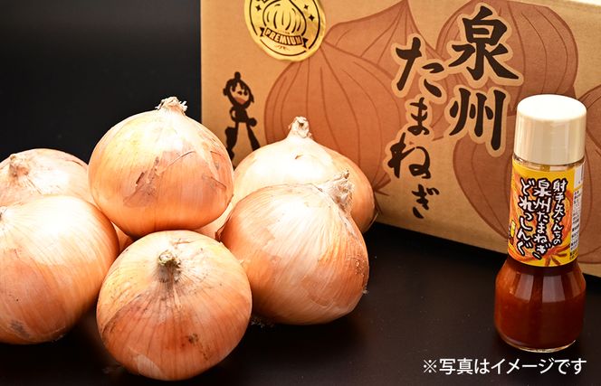 ity0015 【先行予約】射手矢さんちの泉州プレミアムたまねぎ5kgとドレッシング 200ml×1本【玉ねぎ タマネギ 玉葱 甘い 野菜 国産 期間限定 オニオン スライス サラダ カレー シチュー バーベキュー BBQ 肉じゃが】