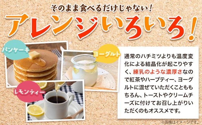 熊野古道 峠の 蜂蜜 180g×2 澤株式会社《90日以内に出荷予定(土日祝除く)》和歌山県 日高町 蜂蜜 はちみつ パン ヨーグルト 紅茶 料理 調理 朝食 トースト パンケーキ 調味料 送料無料---wsh_swa7_90d_24_17000_2h---