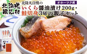 北隆丸自慢のいくら醤油漬け2００ｇ・鮭切身３尾の親子セット オホーツク産【16002】