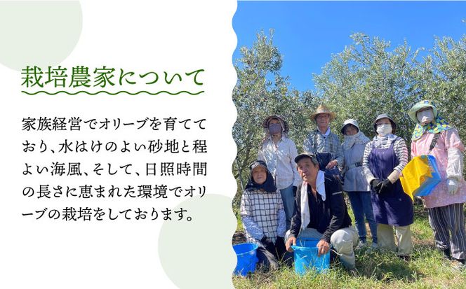 【6回 定期便 】原城オリーブ エクストラヴァージン オイル 100ml 2本 / 調味料 油 オリーブオイル オリーブ / 南島原市 / ミナサポ [SCW028]