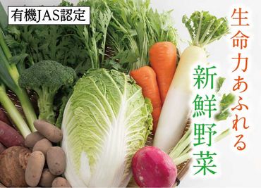 1209 有機JAS認定 冬野菜とお米の詰め合わせセット