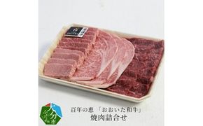 【A01064】百年の恵 「おおいた和牛」 焼肉詰合せ約990g