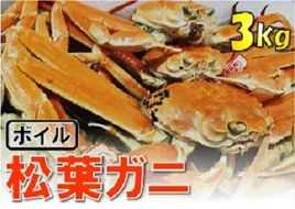 1535【魚倉】松葉がに ボイル おまかせセット ３kg訳あり