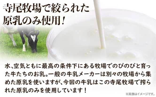 寺尾牧場のこだわり濃厚牛乳（ノンホモ牛乳）3本セット 900ml×3本 厳選館《90日以内に出荷予定(土日祝除く)》 和歌山県 日高町 濃厚牛乳 牛乳 ノンホモ牛乳 成分無調整---wsh_cgsk97_90d_25_16000_3p---