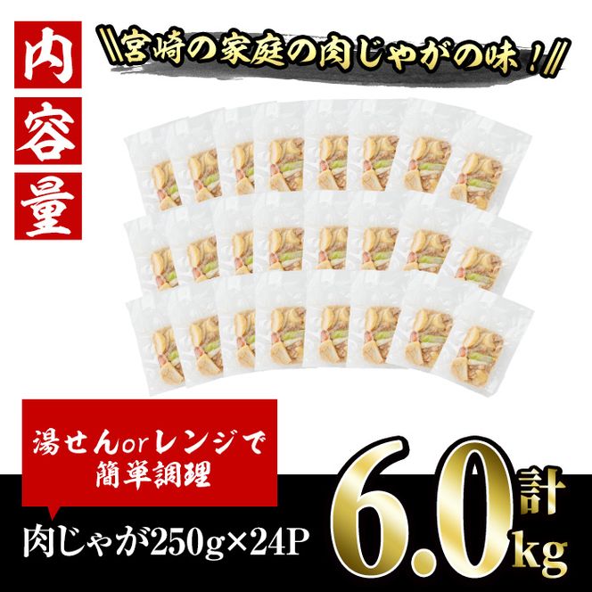 お母ちゃんの肉じゃが (計約6.0kg・250g×24P) お肉 豚肉 小分け 使いやすい 便利 簡単 惣菜 調理 時短 冷凍【V-64】【味鶏フーズ】