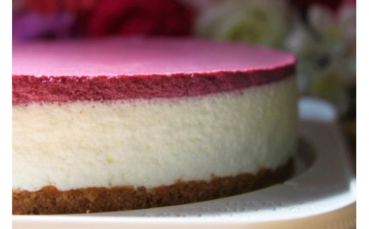 【築上町産ブルーベリー使用】 ブルーベリー ヨーグルト ムース ケーキ《築上町》【(有)工房よしかわ】 国産 ブルーベリー [ABAK002]