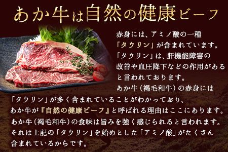 牛肉 あか牛 サーロイン ステーキ 500g ( 250g x 2枚 ) 牛肉 冷凍 《2026年1月中旬-3月末頃出荷》 訳あり 定期便 でない 冷凍庫 個別 取分け 小分け 個包装 ステーキ肉 あかうし 赤牛 あか牛丼 にも サーロインステーキ--- mna_faksir_bc13_r7_13500_500g---