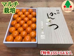 マルチ栽培 有田 みかん 化粧箱 特秀 小玉 SS サイズ 54玉入 南泰園 BS668