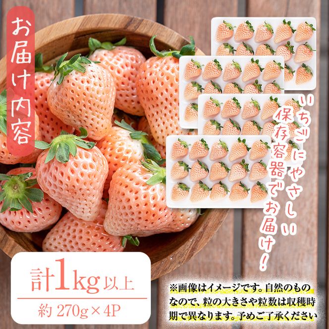 〈先行予約受付中！〉鹿児島県産いちご！特別栽培農産物 いちごの村から朝摘み「淡雪」4Pセット(計1kg・約270g×4P) b5-045