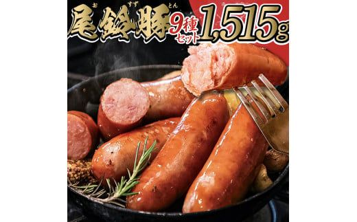 [PREMIUM PORK]尾鈴豚ハム・ソーセージ 詰め合わせ 9種 [ 数量限定 肉 豚肉 ぶた 豚 国産 九州産 宮崎県産 ウインナ― ハム 生ハム ソーセージ 加工品 ] [E9207]