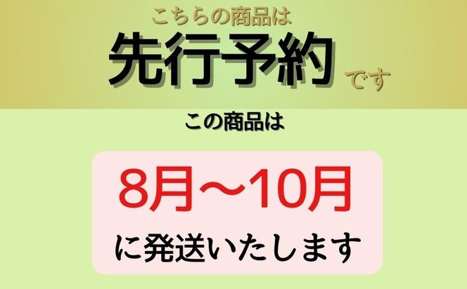 【2026年 先行予約】山梨県産　シャインマスカット 1.2kg (２房～3房)　FB003|山梨 フルーツ シャイン シャインマスカット ぶどう 葡萄