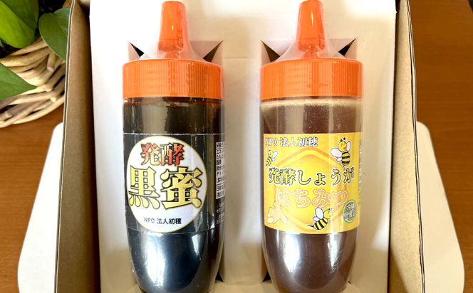 発酵蜂蜜　黒蜜と発酵しょうが（はちみつ）　各320g　2種類のはちみつ　詰め合わせ