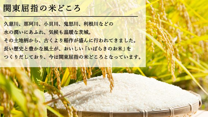 【 先行予約 2024年5月中旬以降発送 】 令和5年産 茨城県産米 品種 おまかせ 5kg ( 5kg × 1袋 ) コシヒカリ あきたこまち ミルキークイーン にじのきらめき あさひの夢 精米 お楽しみ おたのしみ 茨城 [AK026ya]