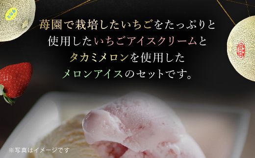 【希少品種】いちごとメロンのアイス 食べ比べ5個セット SMAN013