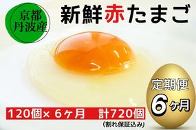 【6回定期便】新鮮 卵 京都・丹波の赤たまご 120個（100個＋割れ保証20個）×6ヶ月 計720個 《生卵 たまご 鶏卵 小分け 半年間》※北海道・沖縄・離島への配送不可