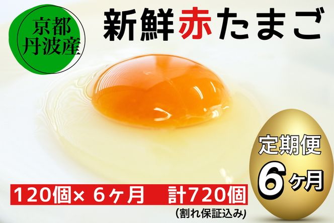 【6回定期便】新鮮 卵 京都・丹波の赤たまご 120個（100個＋割れ保証20個）×6ヶ月 計720個 《生卵 たまご 鶏卵 小分け 半年間》※北海道・沖縄・離島への配送不可