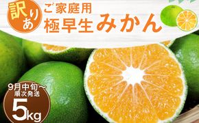 【先行予約】訳あり 黒潮の恵みをたっぷり浴びた さっぱり甘い 極早生みかん 5kg ～数量限定～ [rk050]