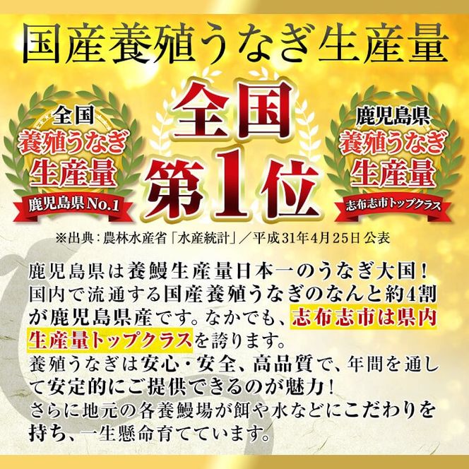 ＜入金確認後、2週間以内に発送！＞うなぎの大楠＜中＞2尾セット計260g(130g×2) a3-161-2w