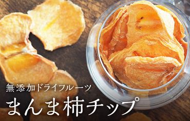 1kgまんま柿チップ(50g×20袋)無添加