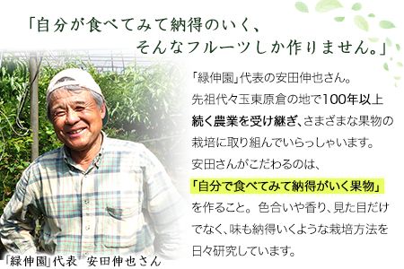 『緑伸園』の大玉 夕焼け太秋柿 約2.5kg 4-7玉前後 《11月上旬-12月上旬頃出荷》 予約受付中 フルーツ 秋 旬 柿 ★大きく綺麗な秋の夕日のような色と形★---sg_cryokukaki_h11_r8_13500_5kg---