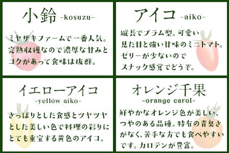 「ミヤザキファーム」 宝石とまと 熊本県氷川町産《12月上旬-6月末頃出荷予定》 小鈴 アイコ イエローアイコ オレンジ千果 みどりちゃん セレブスイート グリーンゼブラ 桃太郎ゴールド トスカーナバイオレット マイクロトマト ---sh_cmiyatmt_ac126_r7_13000_1200g---