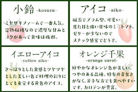 「ミヤザキファーム」 宝石とまと® 熊本県氷川町産《12月上旬-6月末頃出荷予定》 小鈴 アイコ イエローアイコ オレンジ千果 みどりちゃん セレブスイート グリーンゼブラ 桃太郎ゴールド トスカーナバイオレット マイクロトマト---sh_cmiyatmt_ac126_24_14000_1200g---