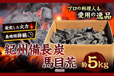 紀州備長炭 馬目荒 約5kg 株式会社紀 [30日以内に出荷予定(土日祝除く)] 和歌山県 日高川町 備長炭 炭 プロの 料理人 愛用---wshg_hjm3_30d_23_21000_5kg---