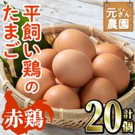 元さん農園 平飼い赤鶏のたまご (計20個・10個×2P) 元さん農園 卵 玉子 卵かけご飯 玉子焼き 平飼い 鶏 鶏卵 養鶏場直送 朝採れ 新鮮 大分県 佐伯市 【GE001】【 (株)海九】