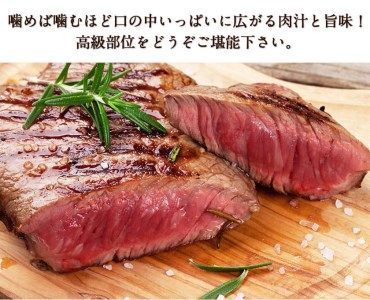 熊本県産 あか牛ヒレステーキ 約200g×2枚 肉のみやべ《120日以内に出荷予定(土日祝除く)》---mifune_myb_18_400g---