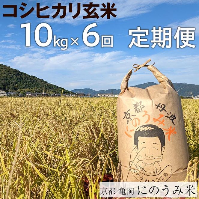 【定期便】【令和6年産先行予約】米 コシヒカリ 定期便 玄米 10kg×6カ月〈アグリにのうみ〉京都・亀岡産《令和6年産》 京都丹波産※北海道・沖縄・離島への配送不可※2024年10月中旬頃より順次発送予定