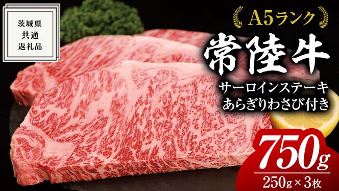 y錧vsz헤 A5  T[C Xe[L 250g × 3i v 750g j 炬 킳 1{t ( 錧ʕԗi ) јa Y   A5N uh  Ђ uha Xe[Lp Trt R ē Ă o[xL[ BBQ ϔ Mt