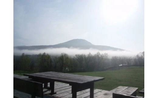 224.宿・花ふらり宿泊券２名１室２食付き