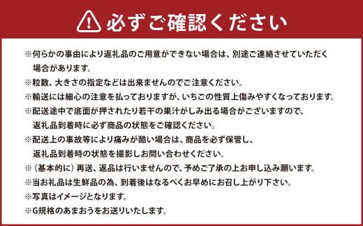 【3回定期便】あまおう （約250～270g×3パック）×3回【2025年1月下旬～3月下旬発送予定】