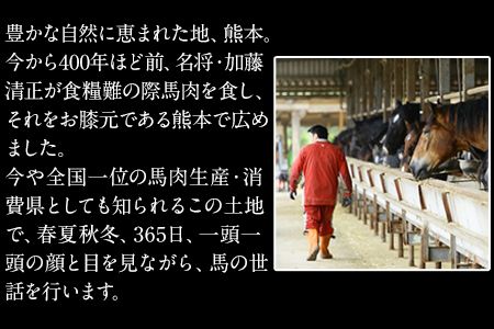 霜降り馬刺し200g(50g×4ブロック)【純国産熊本肥育】《30日以内に出荷予定(土日祝除く)》---ng_fjs10_30d_r8_12500_200g---
