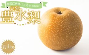 農家直送食べ頃をお届け！豊水梨　約４ｋｇ［2026年8月中旬以降順次発送］  	AZ05