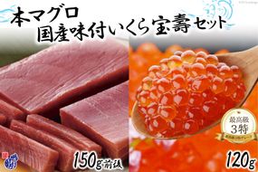 本まぐろ 中トロ（150g前後）＆ 国産 味付いくら（120g） [かわむら家 宮城県 気仙沼市 20564382] 魚介 魚貝 海鮮 いくら 本まぐろ セット 宝寿 中トロ 豪華 ごちそう ご褒美