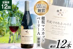 定期便 ワイン 赤 穂坂マスカット・ベーリーA シングル・ヴィンヤード 栽培責任者 猪股宣夫 750ml×12回 酒 赤ワイン/ シャトー・メルシャン 勝沼ワイナリー / 山梨県 韮崎市 [20741004]