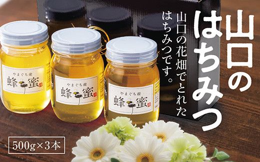 yRRszC033 R݂̂͂@500g×3{