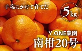 【先行受付】【数量限定】南柑20号（生果）5kg ｜ 柑橘 みかん 温州みかん ミカン 蜜柑 果物 フルーツ 愛媛県産 ｜ ※2024年12月上旬頃より順次発送予定